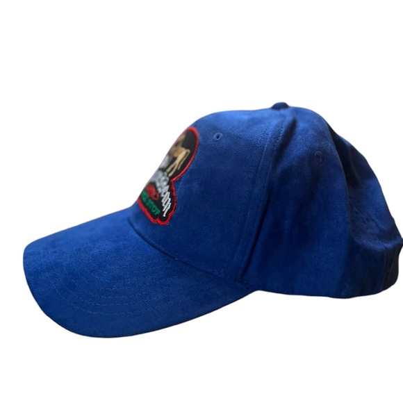 The Tennessean Truck Stop Velcroback Suede Dad Hat - Picture 2 of 5